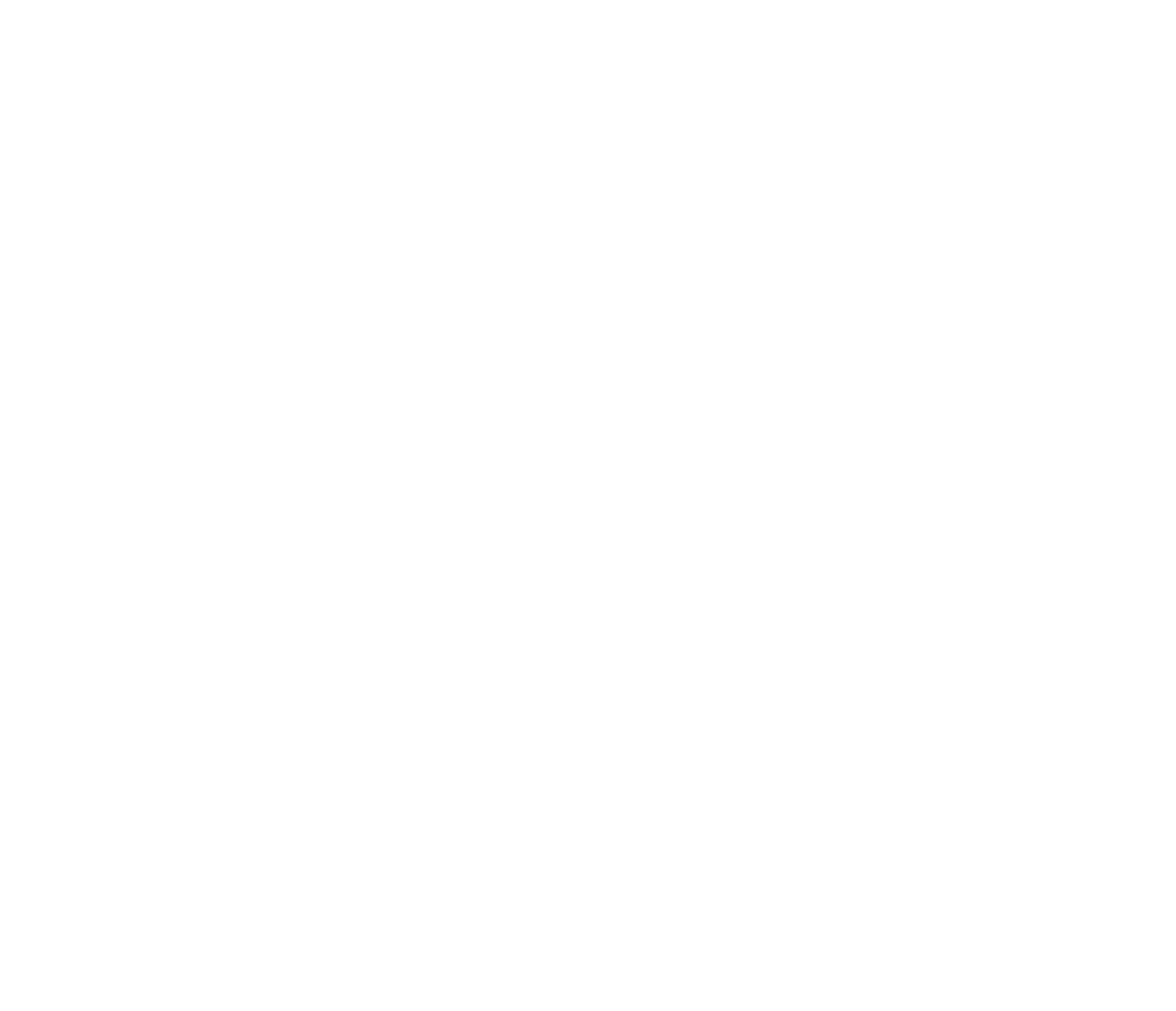 FS WEBSITE LOGO Kopie